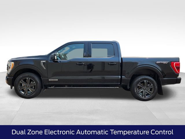Certified 2023 Ford F150 XLT w/ Equipment Group 302A High AWD/4WD image 7