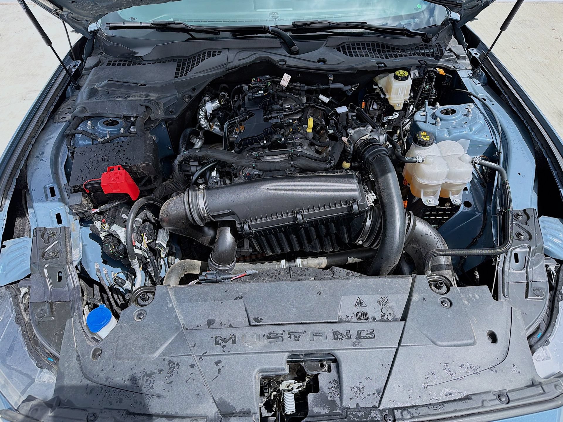 Certified 2025 Ford Mustang Coupe RWD image 28