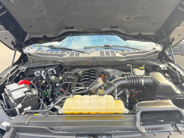 Certified 2023 Ford F150 XLT w/ Equipment Group 302A High image 19