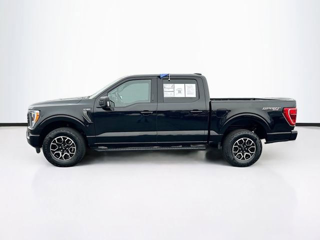 Certified 2023 Ford F150 XLT w/ Equipment Group 302A High image 4