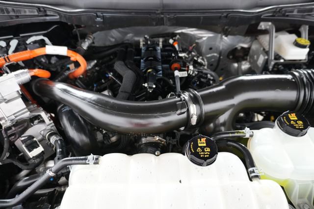 Certified 2025 Ford F150 XLT w/ Equipment Group 301A Standard image 30