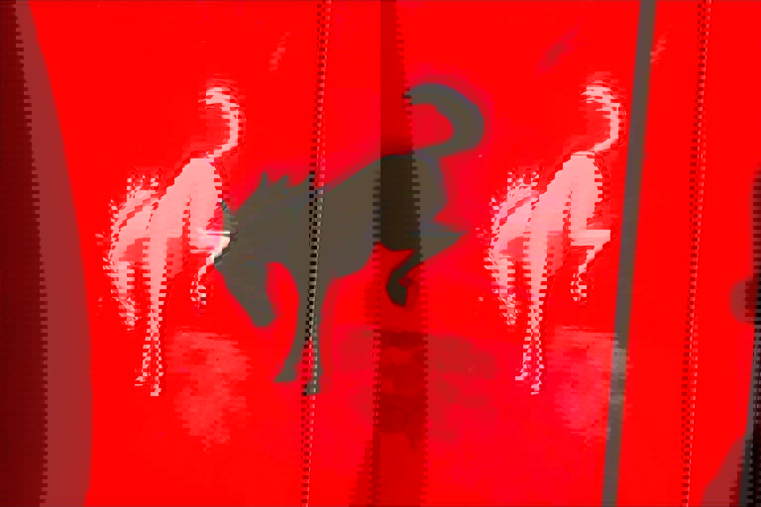 Certified 2023 Ford Bronco Heritage Edition image 30