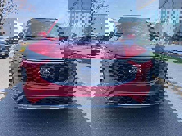 Certified 2025 Ford Escape ST-Line Elite w/ Premium Technology Package image 8