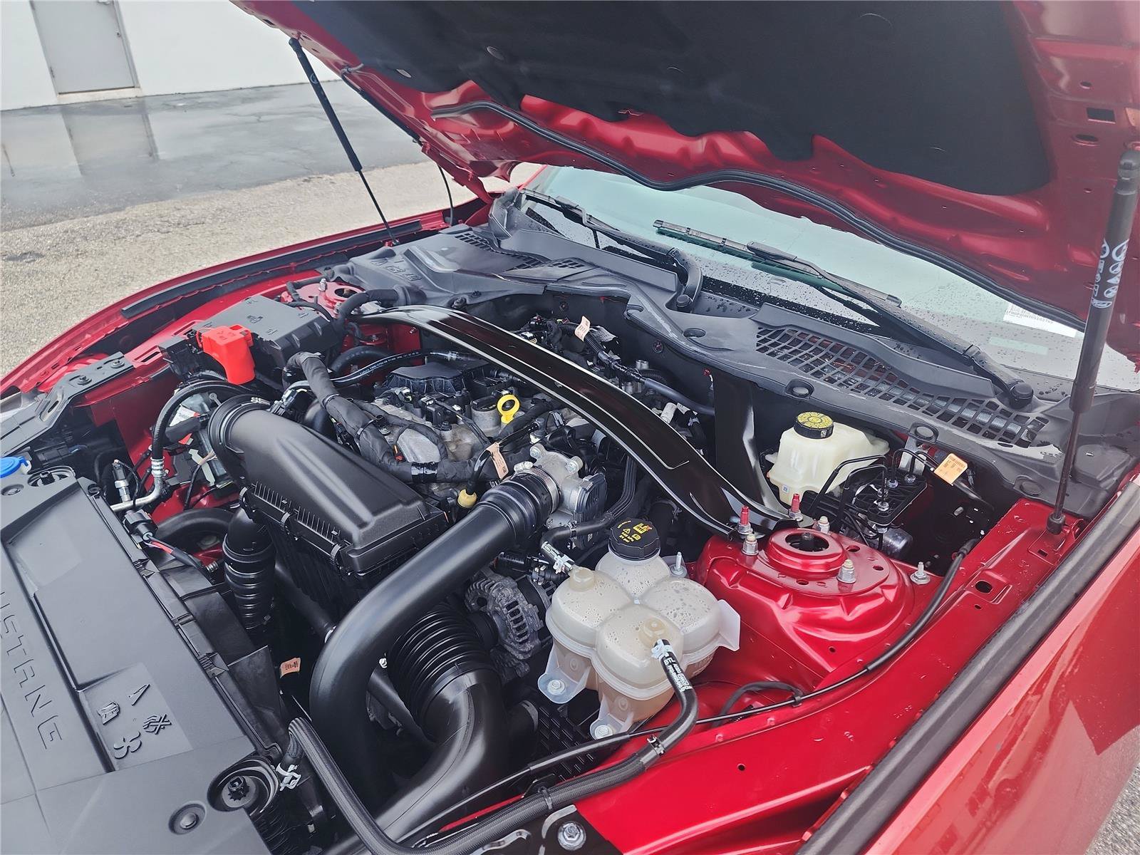 Certified 2024 Ford Mustang Premium RWD image 14