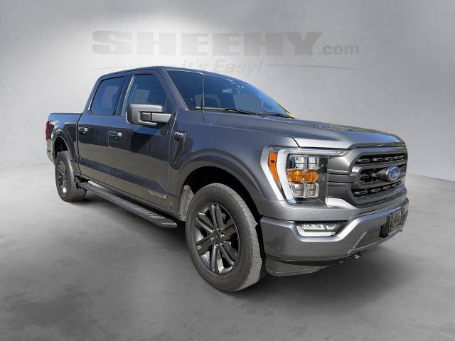 Certified 2023 Ford F150 XLT w/ Equipment Group 302A High AWD/4WD image 2