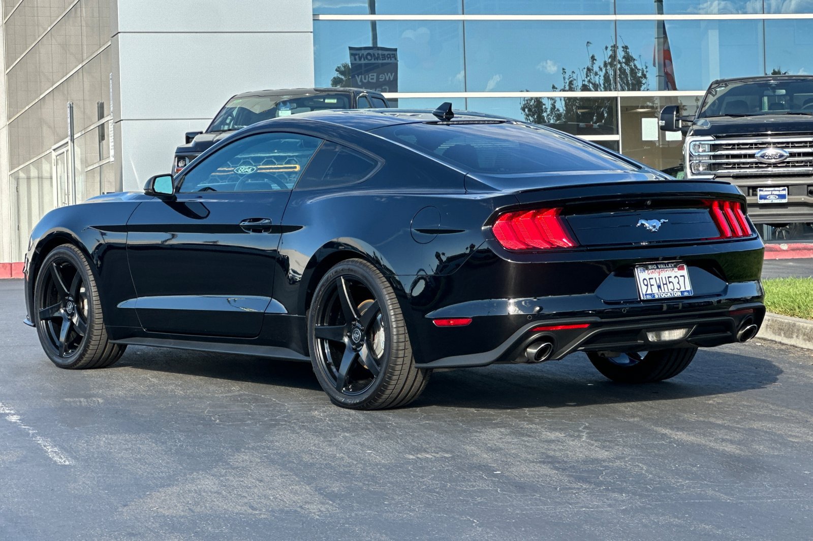 Certified 2023 Ford Mustang Premium w/ Equipment Group 201A RWD image 4