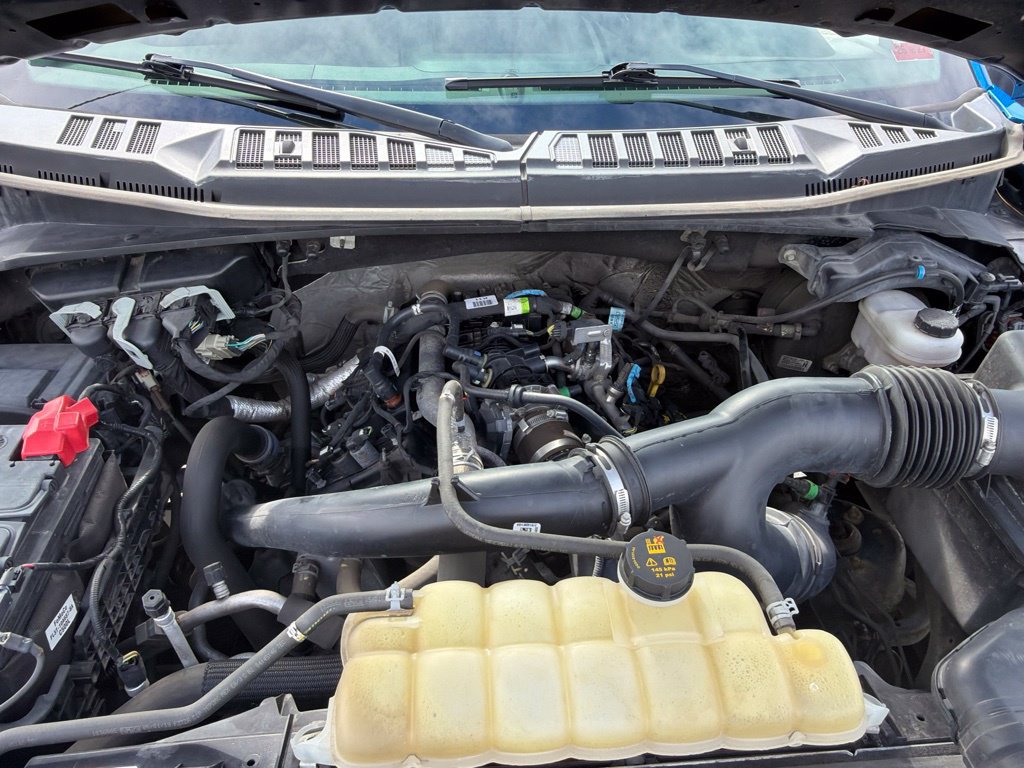 Certified 2019 Ford F150 XL w/ Equipment Group 101A Mid AWD/4WD image 20