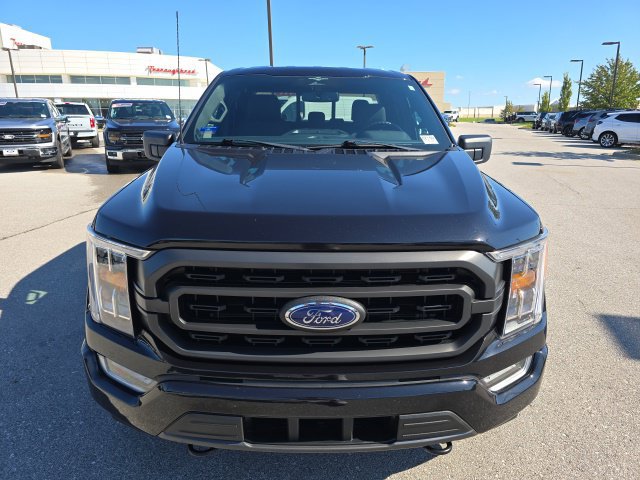 Certified 2023 Ford F150 XLT w/ Equipment Group 302A High AWD/4WD image 8