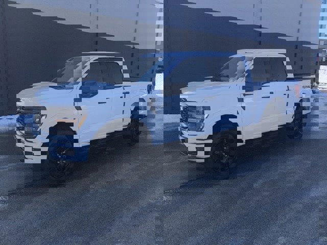 Certified 2024 Ford F150 STX w/ STX Black Appearance Package image 5