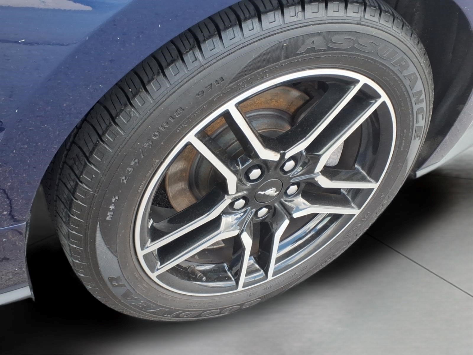 Certified 2019 Ford Mustang Premium w/ Equipment Group 201A RWD image 16