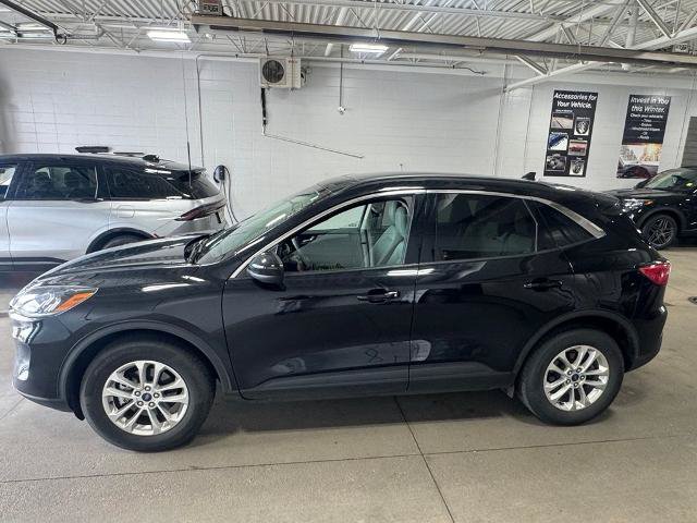 Certified 2020 Ford Escape SE AWD/4WD image 4