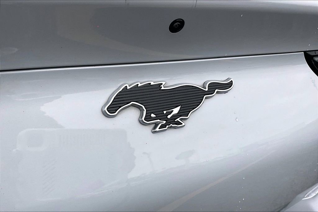 Certified 2021 Ford Mustang Mach-E California Route 1 RWD image 31