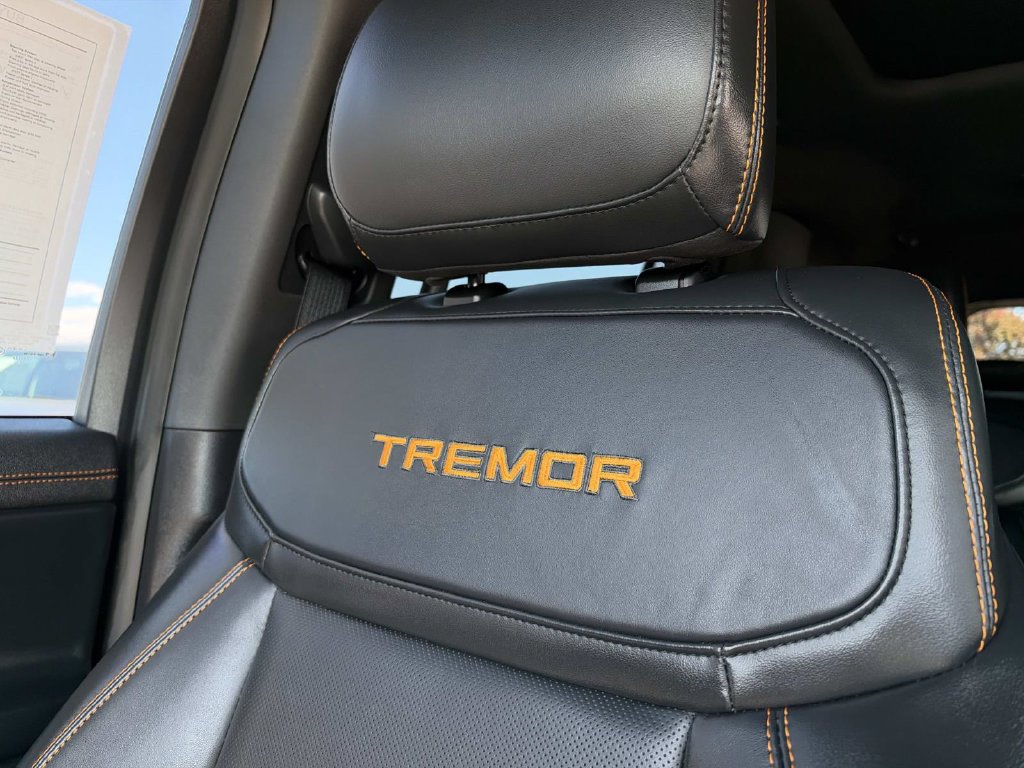 Certified 2025 Ford Expedition Tremor AWD/4WD image 27