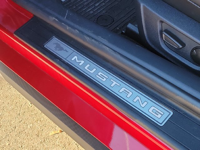 Certified 2024 Ford Mustang GT Premium RWD image 14