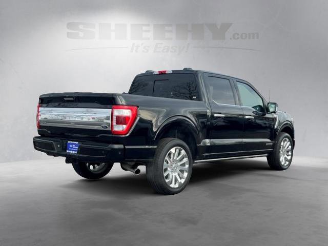 Certified 2023 Ford F150 Limited image 4