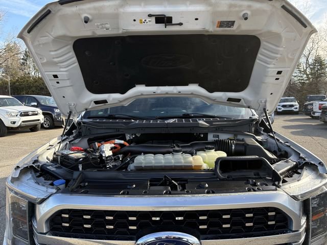 Certified 2021 Ford F150 Platinum w/ Equipment Group 701A High AWD/4WD image 19