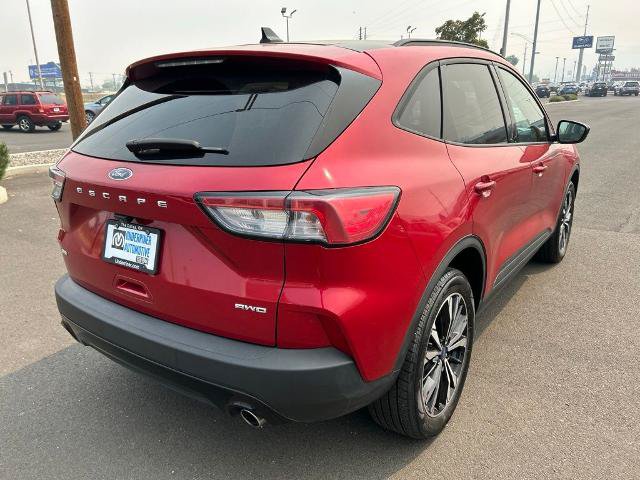 Certified 2022 Ford Escape SE w/ SE Sport Appearance Package AWD/4WD image 6