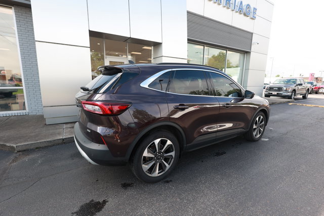Certified 2023 Ford Escape Platinum w/ Premium Technology Package FWD image 3