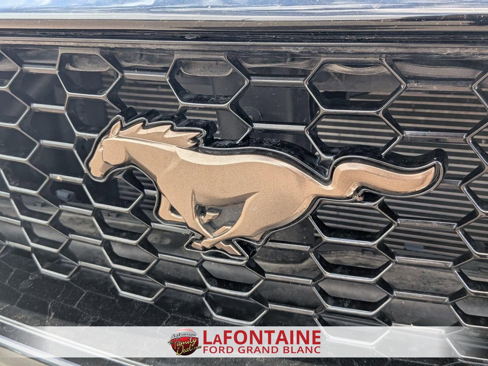 Certified 2024 Ford Mustang GT Premium w/ GT Performance Package RWD image 9