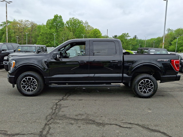 Certified 2023 Ford F150 XLT w/ Equipment Group 302A High AWD/4WD image 6