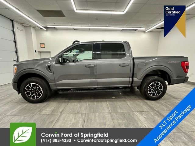 Certified 2023 Ford F150 XLT w/ Equipment Group 302A High image 4