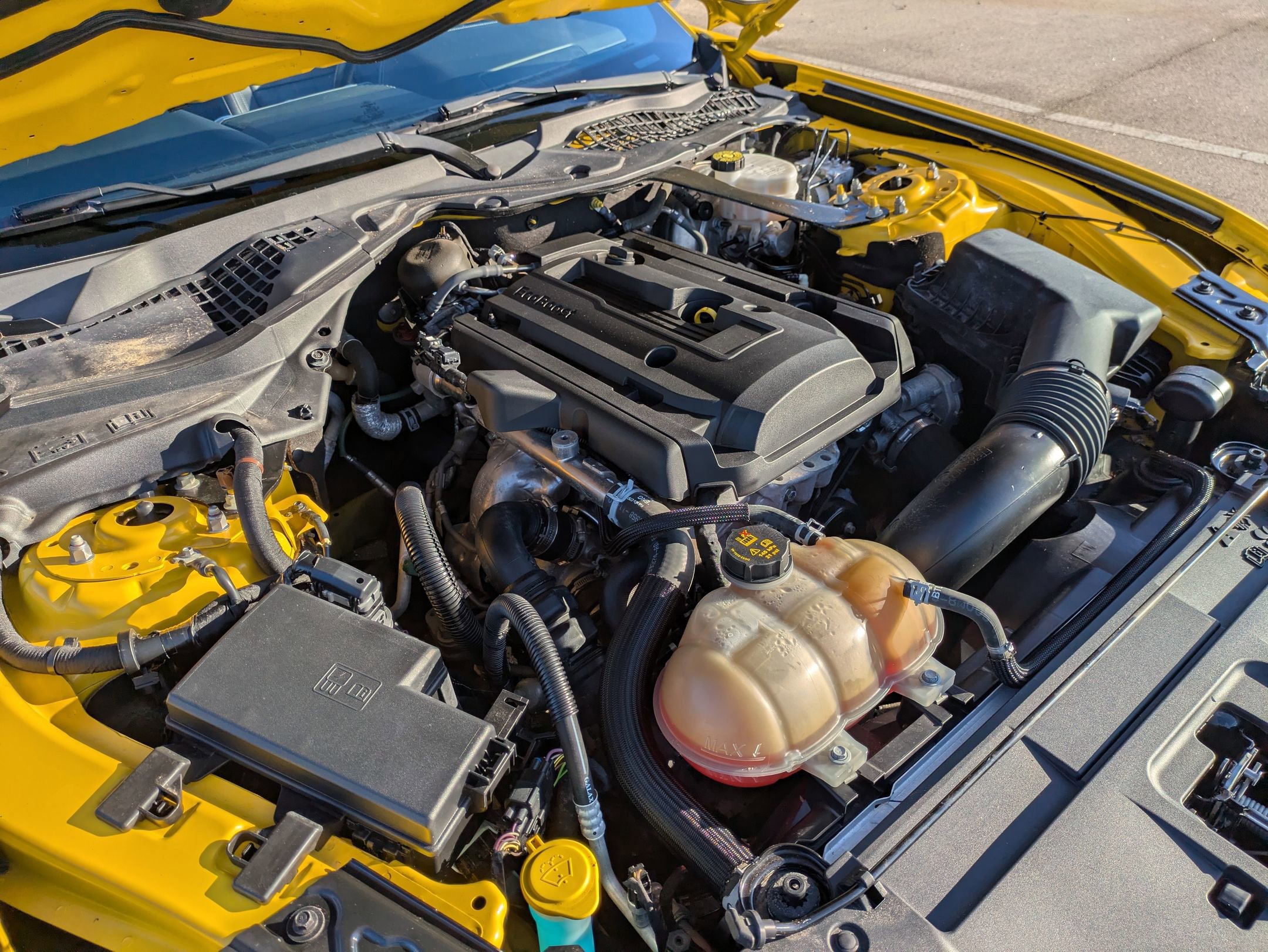 Certified 2018 Ford Mustang Premium w/ Equipment Group 201A image 38