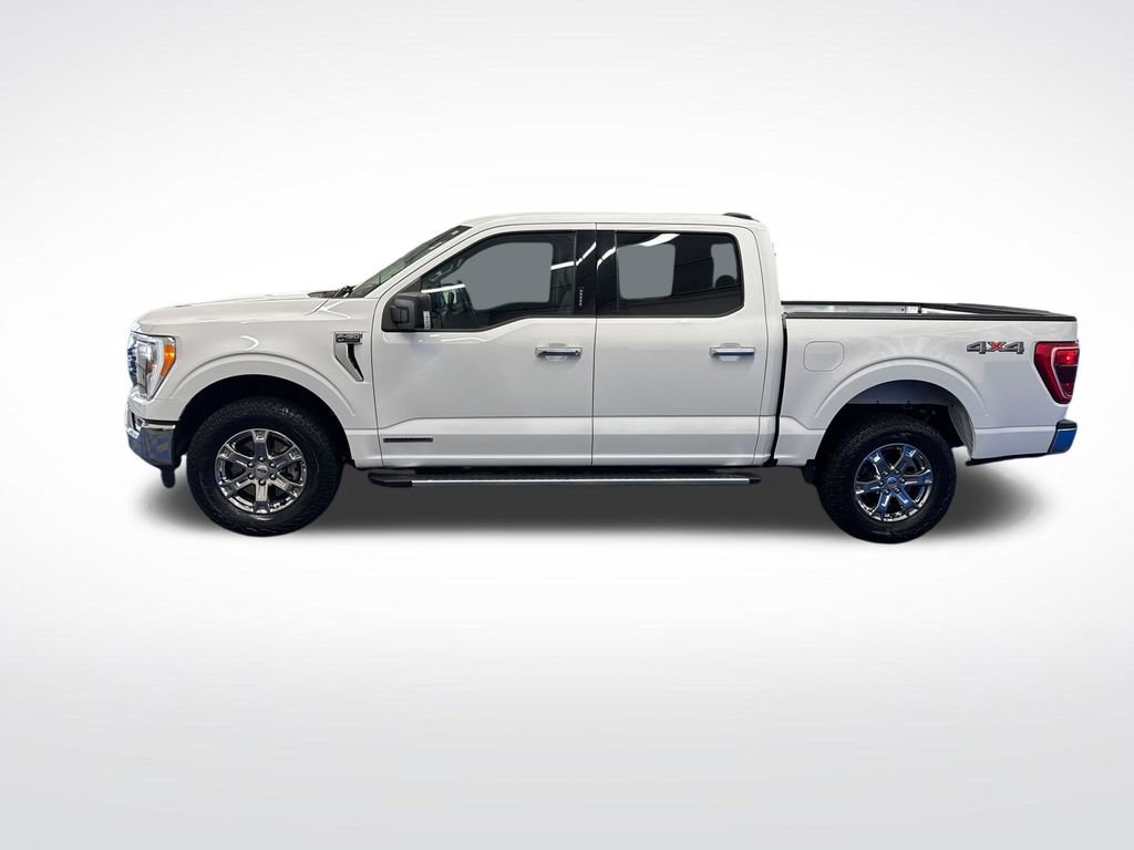 Certified 2023 Ford F150 XLT w/ Equipment Group 302A High AWD/4WD video 2