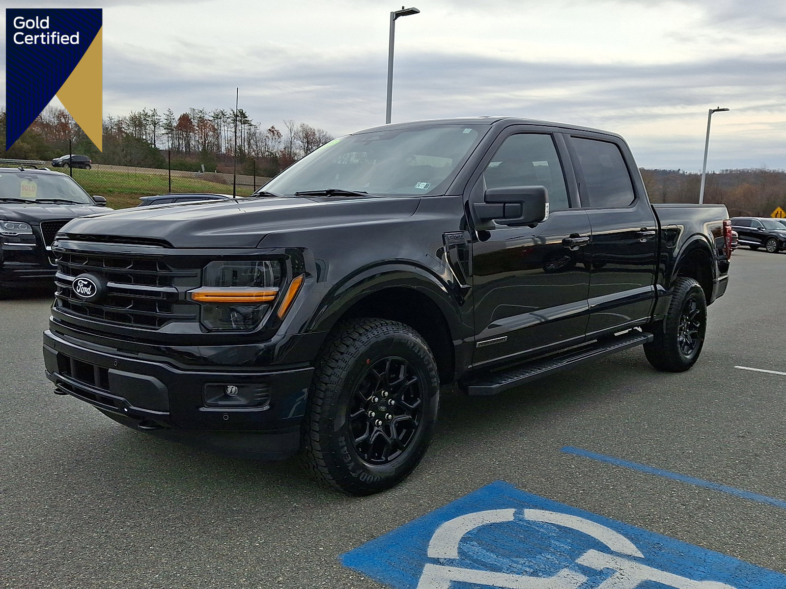 Certified 2025 Ford F150 XLT w/ Equipment Group 302A MID image 1