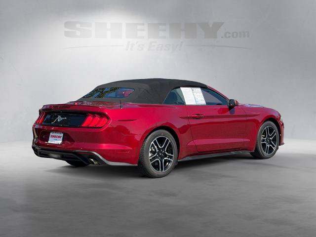 Certified 2019 Ford Mustang Premium RWD image 15