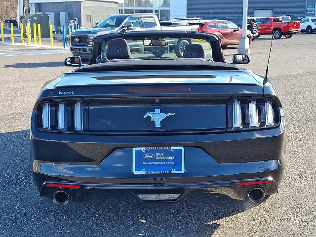 Certified 2017 Ford Mustang V6 w/ Equipment Group 051A image 3