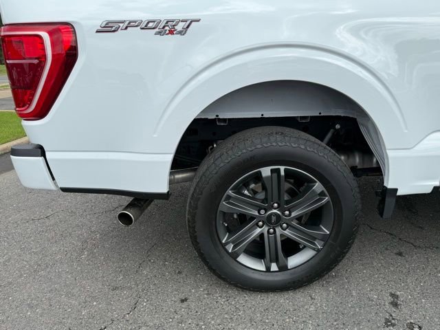 Certified 2023 Ford F150 XLT w/ Equipment Group 302A High AWD/4WD image 7