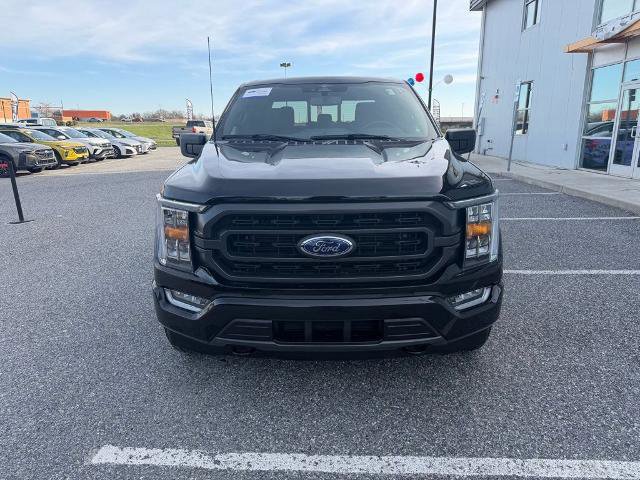 Certified 2023 Ford F150 XLT w/ Equipment Group 302A High image 8