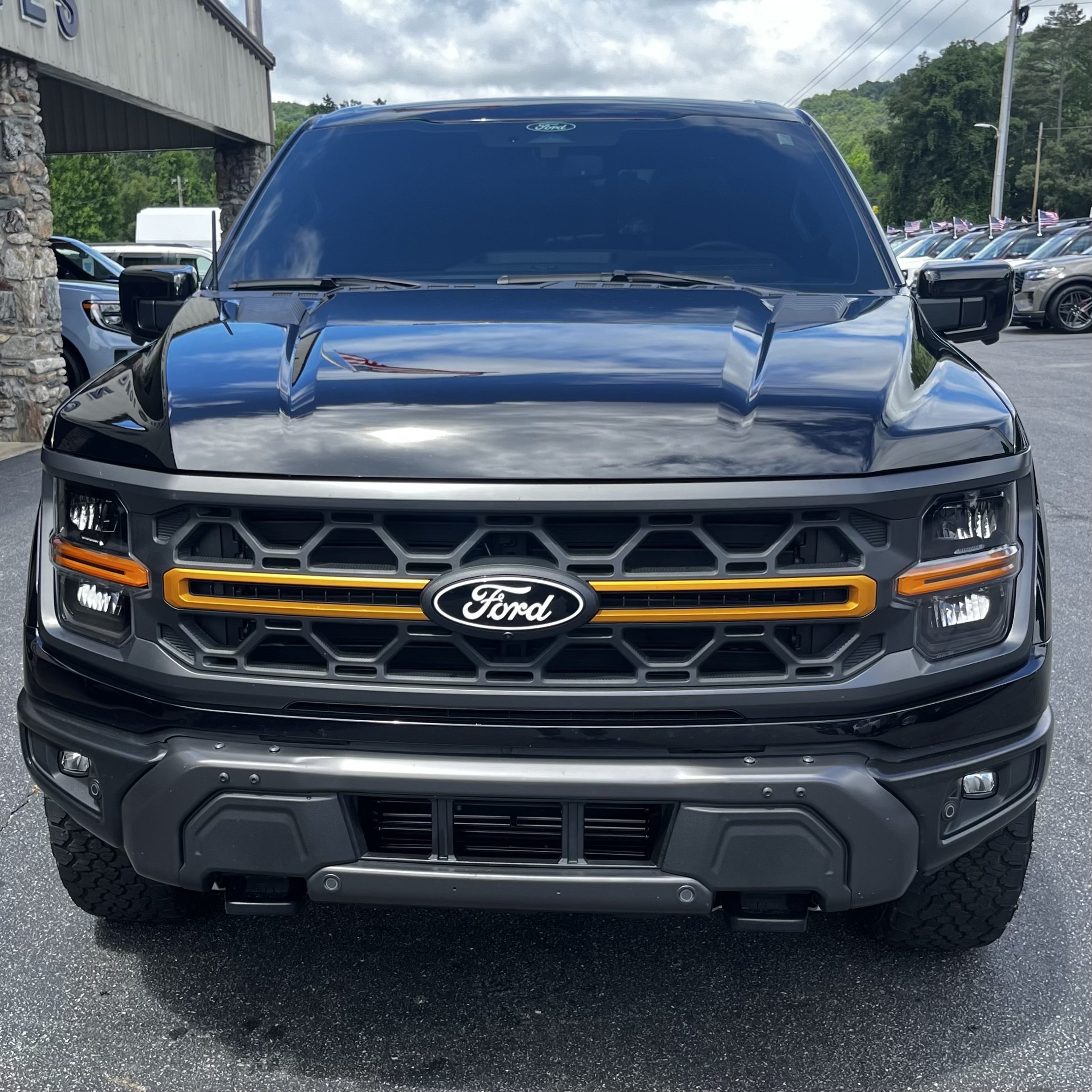Certified 2025 Ford F150 Tremor w/ Equipment Group 402A High AWD/4WD image 3