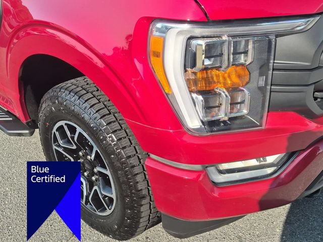 Certified 2021 Ford F150 XLT w/ Equipment Group 302A High AWD/4WD image 9