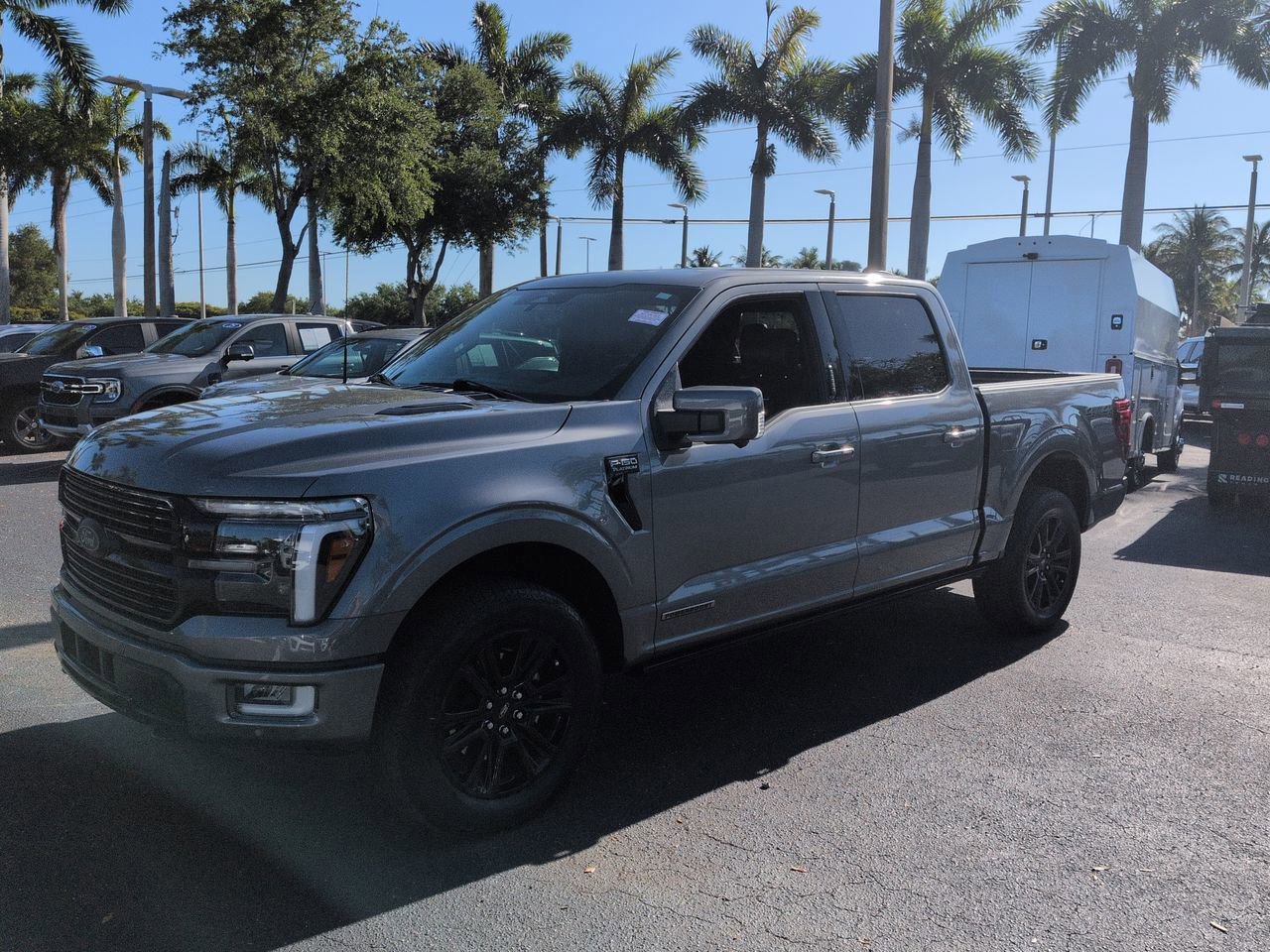 Certified 2024 Ford F150 Platinum image 8