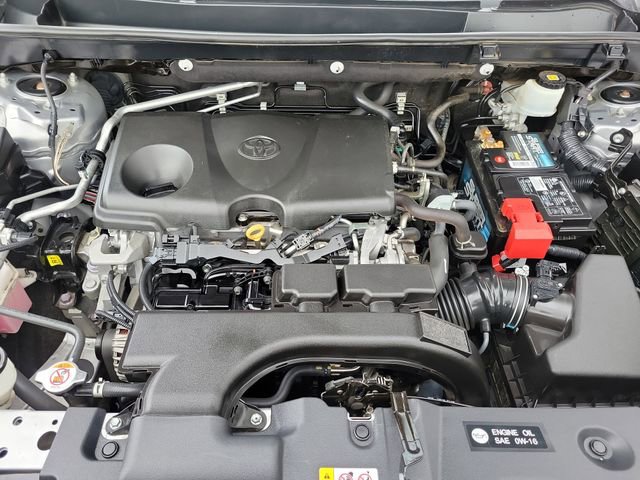 Used 2019 Toyota RAV4 XLE w/ Carpet Mat Package FWD image 30