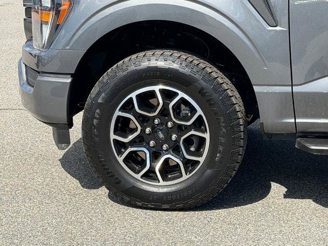 Certified 2023 Ford F150 XL w/ STX Appearance Package AWD/4WD image 19