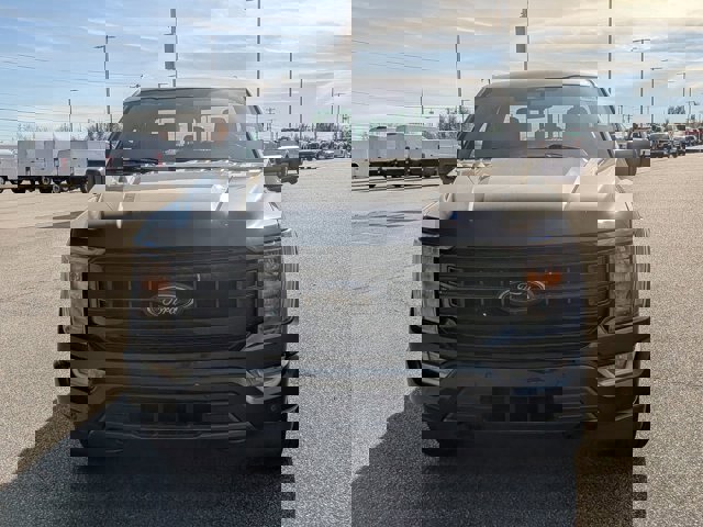 Certified 2023 Ford F150 XLT w/ Equipment Group 302A High image 9