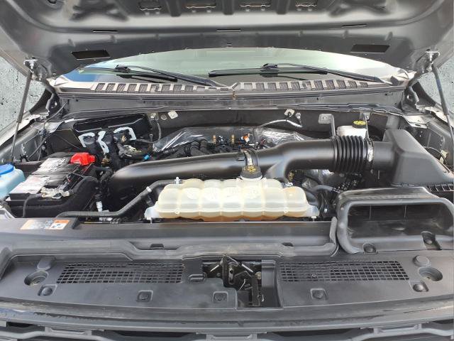 Certified 2024 Ford Expedition XLT AWD/4WD image 12
