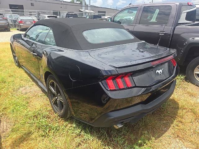 Certified 2025 Ford Mustang Premium RWD image 2