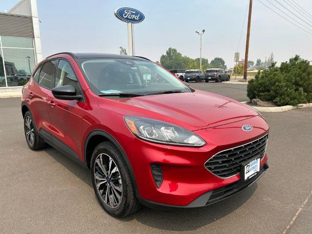 Certified 2022 Ford Escape SE w/ SE Sport Appearance Package