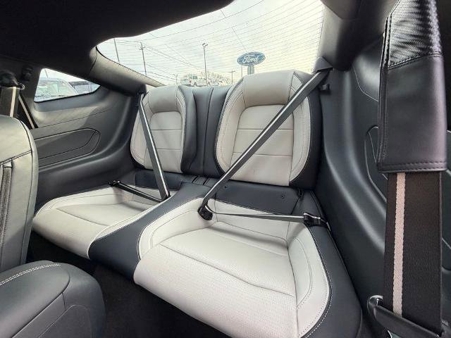 Certified 2024 Ford Mustang Premium image 13