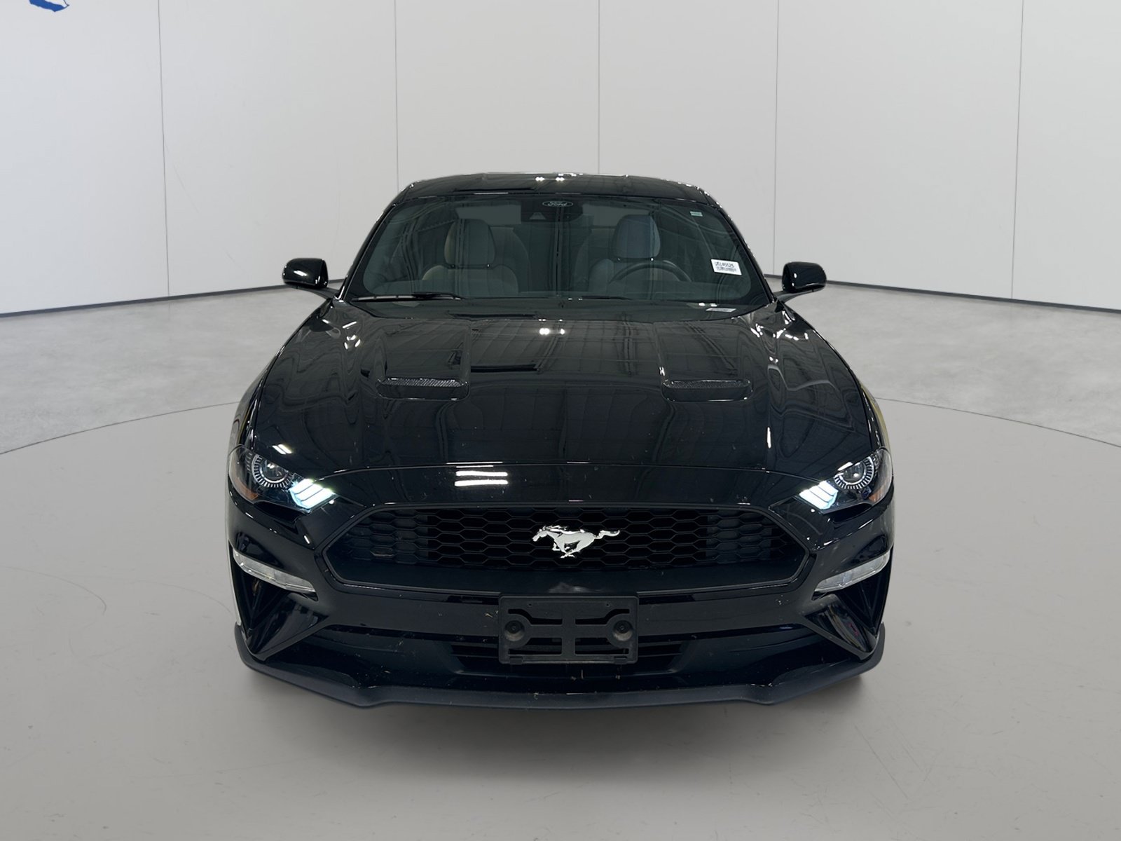 Certified 2022 Ford Mustang Coupe w/ Equipment Group 101A RWD image 2