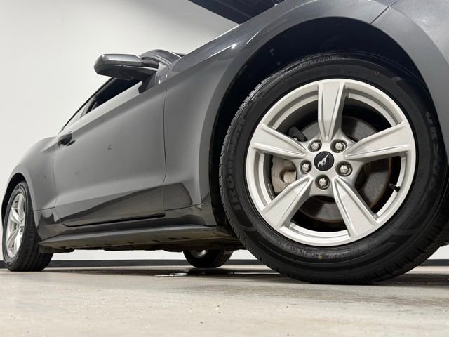 Certified 2019 Ford Mustang Coupe RWD image 3