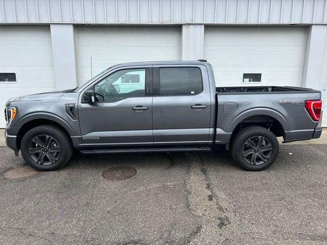 Certified 2023 Ford F150 XLT w/ Equipment Group 302A High AWD/4WD image 3