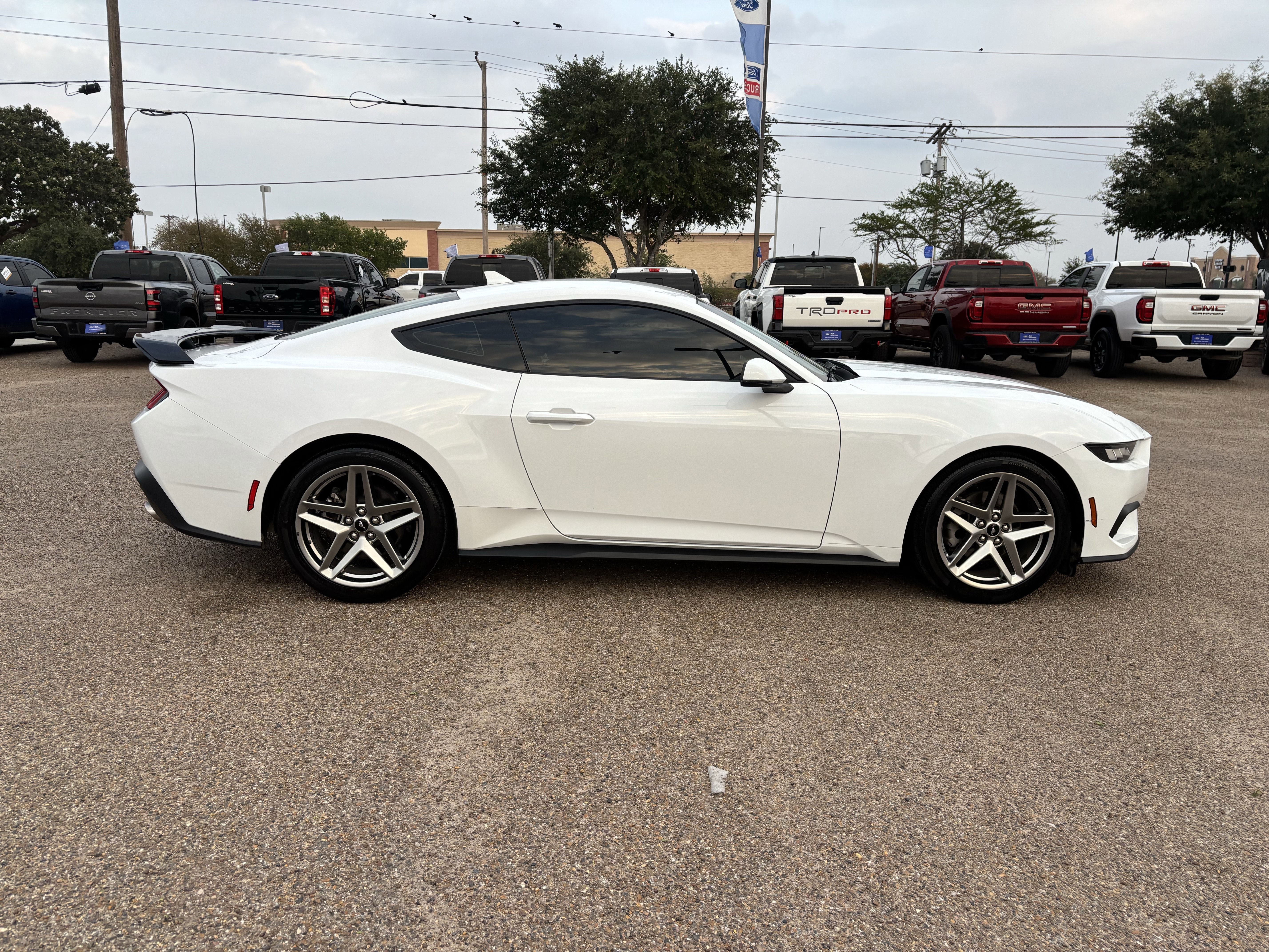Certified 2024 Ford Mustang Premium image 5