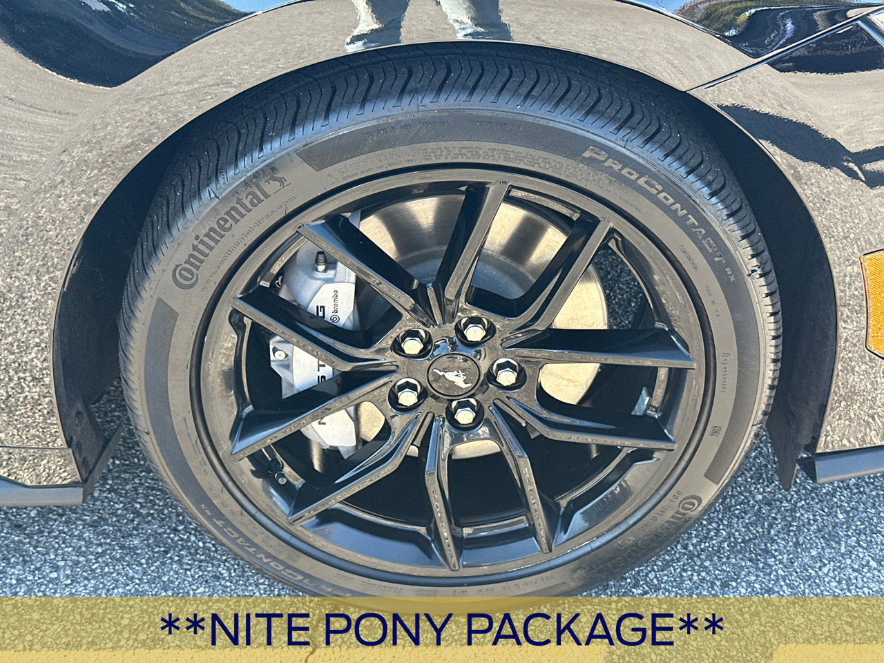 Certified 2026 Ford Mustang GT w/ Mustang Nite Pony Package RWD image 14