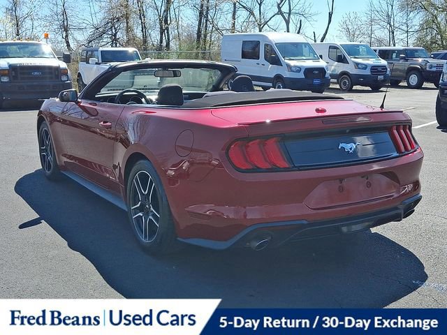 Certified 2019 Ford Mustang Convertible w/ Equipment Group 101A image 5