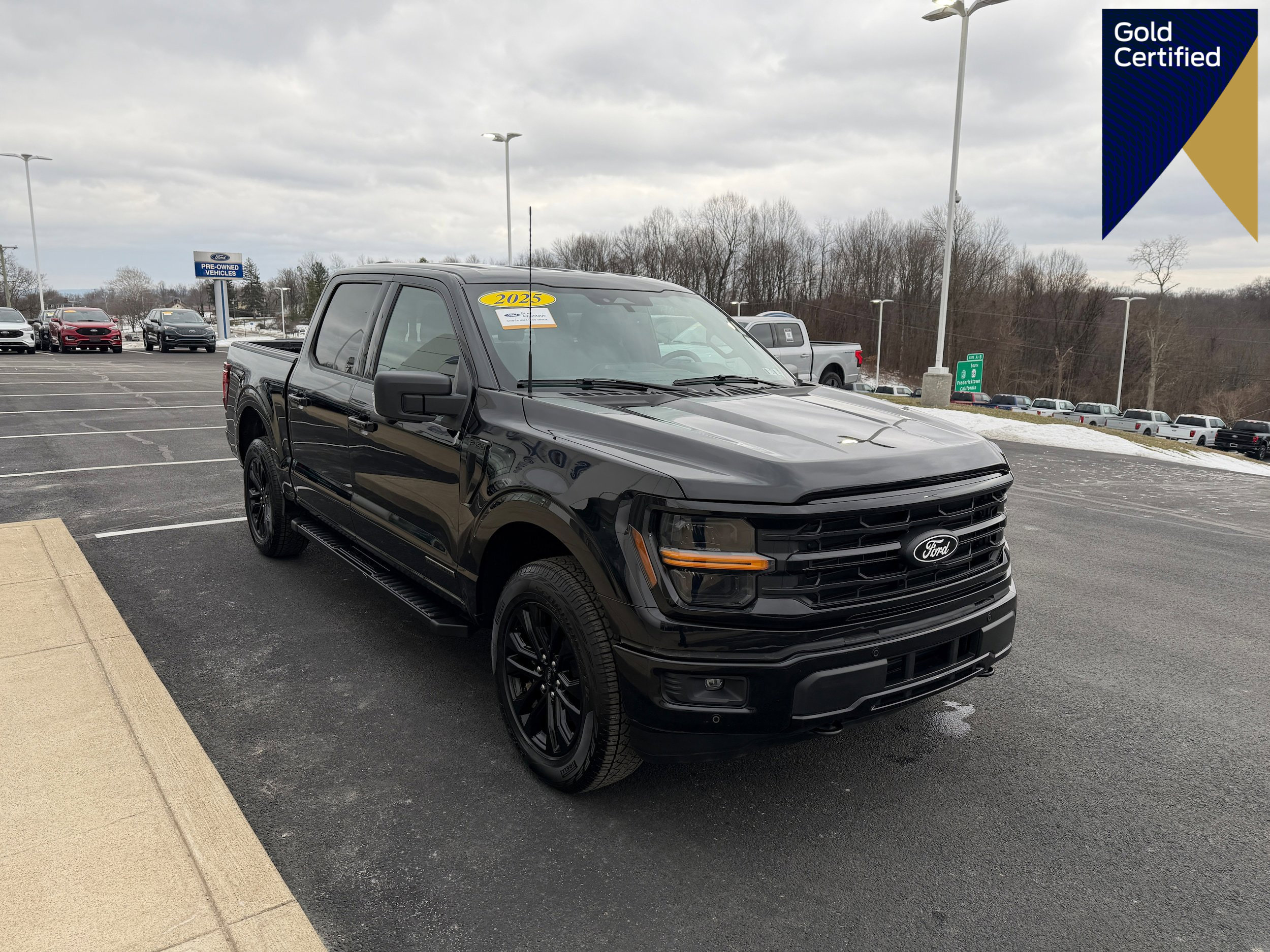 Certified 2025 Ford F150 XLT w/ Equipment Group 302A MID