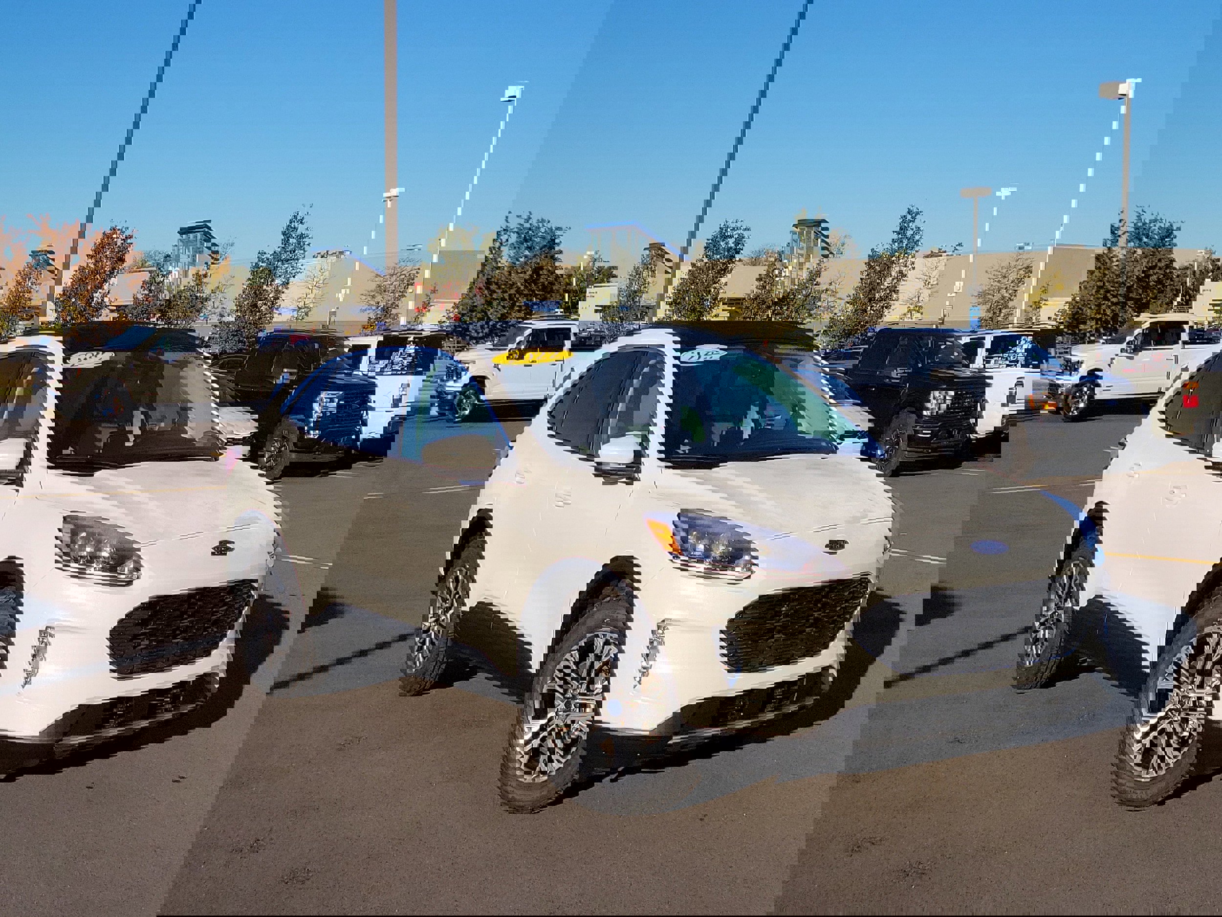 Certified 2022 Ford Escape SEL image 5